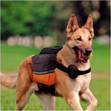 Ferplast Rucsac Dog Scout
