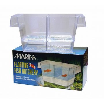 Hagen Maternitate 2 in 1