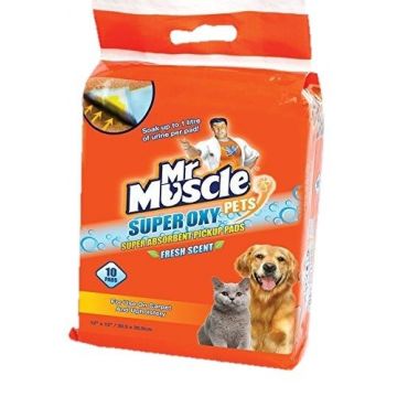 Servetele Absorbante Mr Muscle 10 Buc