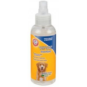 ARM&HAMMER SPRAY DENTAR CAINE 120 ML