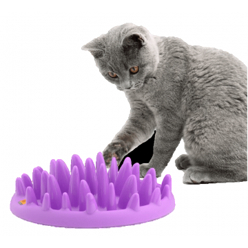 Coa Hranitor Interactiv Pisica Catch