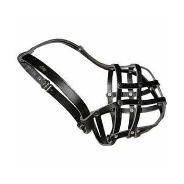 DINGO BOTNITA PIELE SHAR-PEI 5137