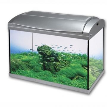 Hailea Acvariu F60 60l Argintiu