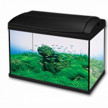 Hailea Acvariu F60 60l Negru