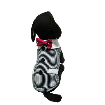 Haina Caine Frac Cu Papion W13066 S 25 cm