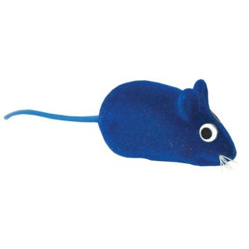 Jucarie Soricel Color