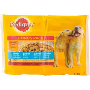 Pedigree Plic Junior Pui in Aspic 4x100 g