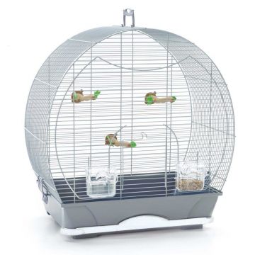 Pet Expert Colivie Special Small Silver