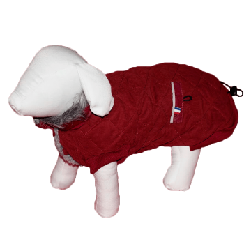 Pet Expert Haina Caine Diamonds Red S 25 cm