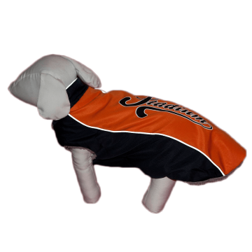 Pet Expert Haina Caine Stadium Orange M 31 cm