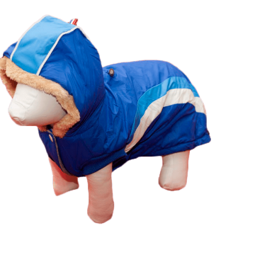 Pet Expert Haina Caine Striped Hoodie Blue M 31 cm