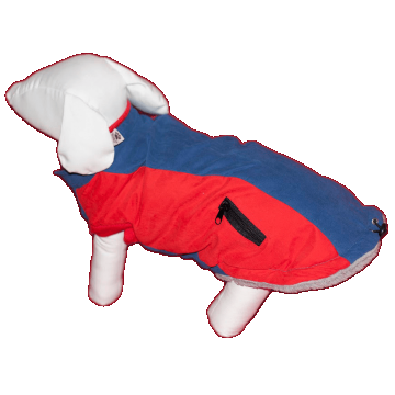 Pet Expert Haina Caine Zipper Red S 25 cm