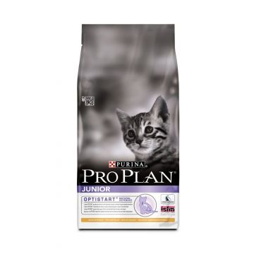 Pro Plan Cat Kitten Chicken 10 kg