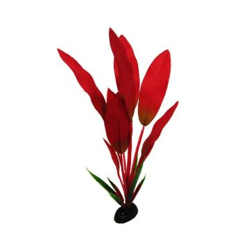 Resun Planta Matase Amazon Red 20 cm