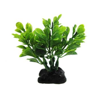 Resun Planta Plastic Boxwood Green 8 cm