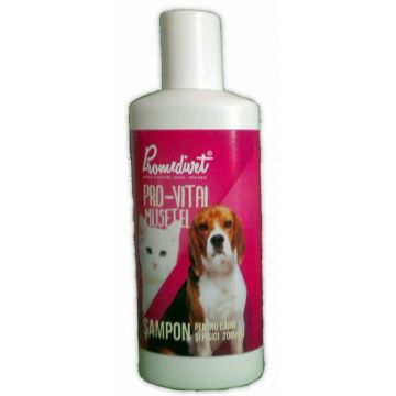 Sampon Pro Vital Musetel x 200ml