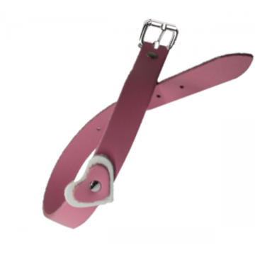 Zgarda Caine Streetside Inima 1.6/40 cm Roz Nr 1