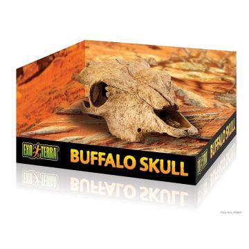 Exo Terra Decor Buffalo Skull PT2857