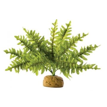 Exo Terra Planta Boston Fern Small PT2990