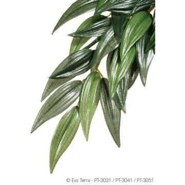 Exo Terra Planta Ruscus Medium 55 CM PT3041