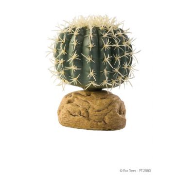 Exo Terra Plante Barrel Cactus S PT2980
