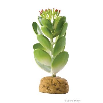 Exo Terra Plante Jade Cactus PT2984