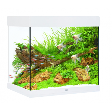 Juwel Acvariu Led Lido 120 Alb