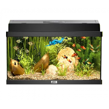 Juwel Acvariu Primo 60 Negru