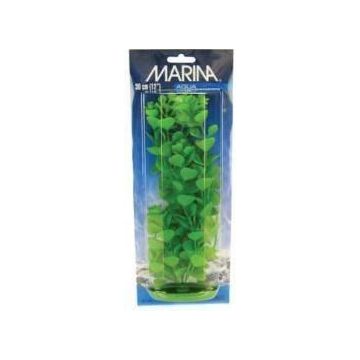 Marina Planta MoneyWort 30 CM PP1216