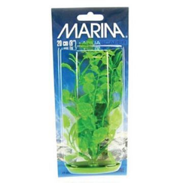 Marina Plante Marina Cardamine 30 cm PP1205