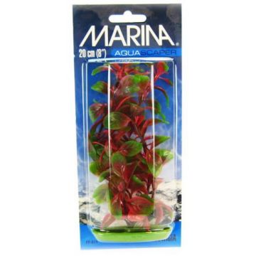 Marina Plante Red Ludwigia 20 cm PP819
