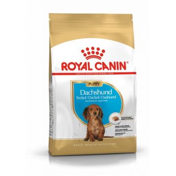 Royal Canin Dachshund Puppy 1.5 kg