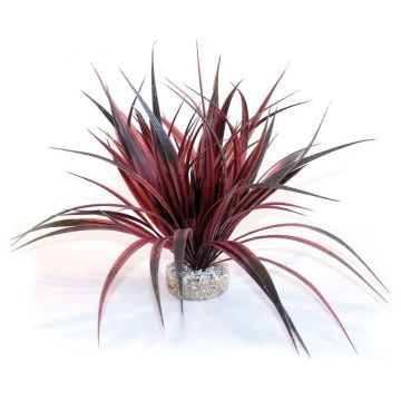 Sydeco Planta Amazonian Plant 35 Cm 380184