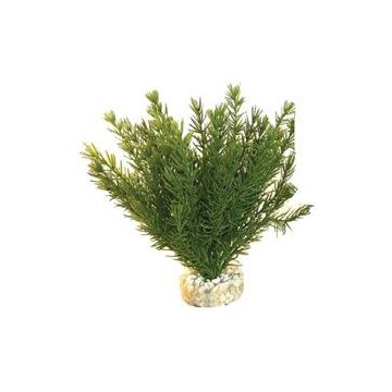 Sydeco Planta Club Moss Maxi 30 cm 106