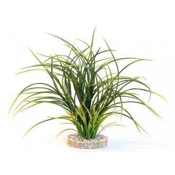 Sydeco Planta Fan Grass 38 Cm 349607