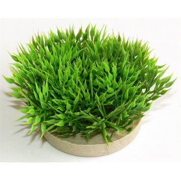 Sydeco Planta Green Moss 07 Cm 720