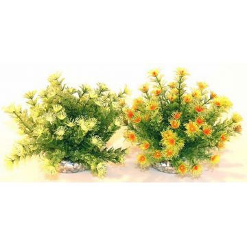 Sydeco Planta Marina Bowl 21cm 610