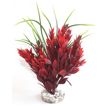 Sydeco Planta Red Ruscus Large 25 Cm 667