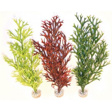 Sydeco Planta Water Ferm Maxi Flexible 58 Cm 501