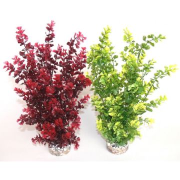 Sydeco Plante Butterfly XL 36cm 151