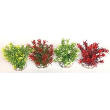 Sydeco Plante Jungle Small 15cm 633