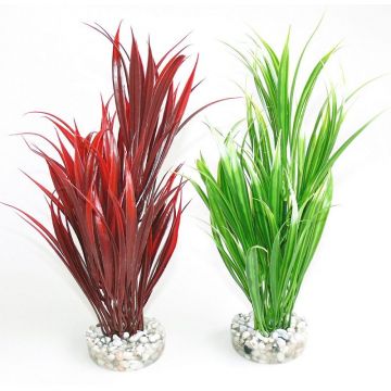 Sydeco Plante Sword Plant 25cm 113