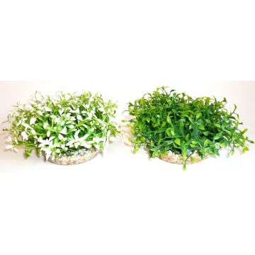 Sydeco Plante Water Bowl Maxi 10cm 135