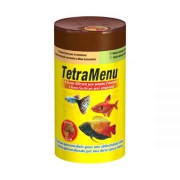 Tetra Meniu 250 ml