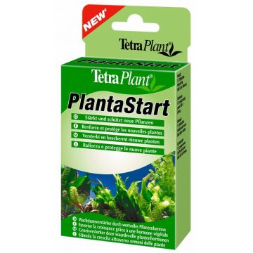 Tetra Plant Plantastart 12 Tbl