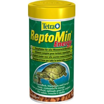 Tetra Reptomin Energy 100 ML