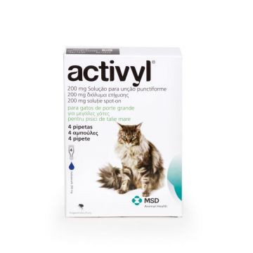 Activyl Cat (> 4kg), 4 pipete