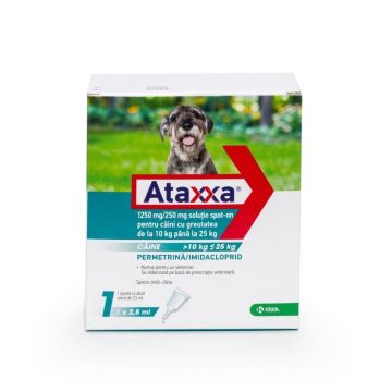 Ataxxa Dog 250 (10 - 25 kg), 1 pipeta