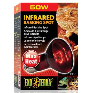 Bec Exo Terra Infrared 50 W PT2141