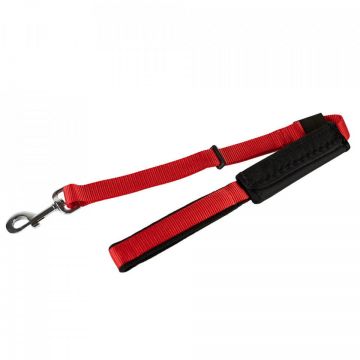 Centura de siguranta si lesa